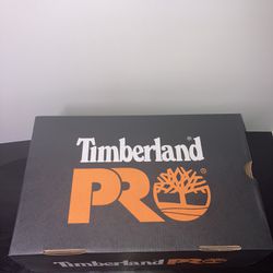 Timberland Steel Toe 9.5 Men’s Shoes , Never Worn