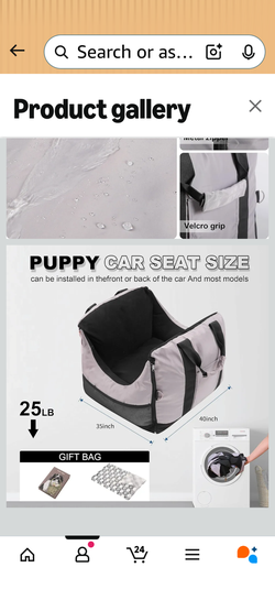 Pet car seat