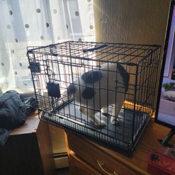 Cat Or Small Dog Crate