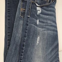 Denizen from Levi’s Low Rise Jegging Women’s Size 11 W30 Blue Stretch Skinny Jeans