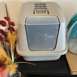 Litter Box With Enclosure