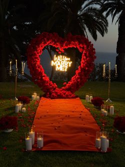 Proposal set up