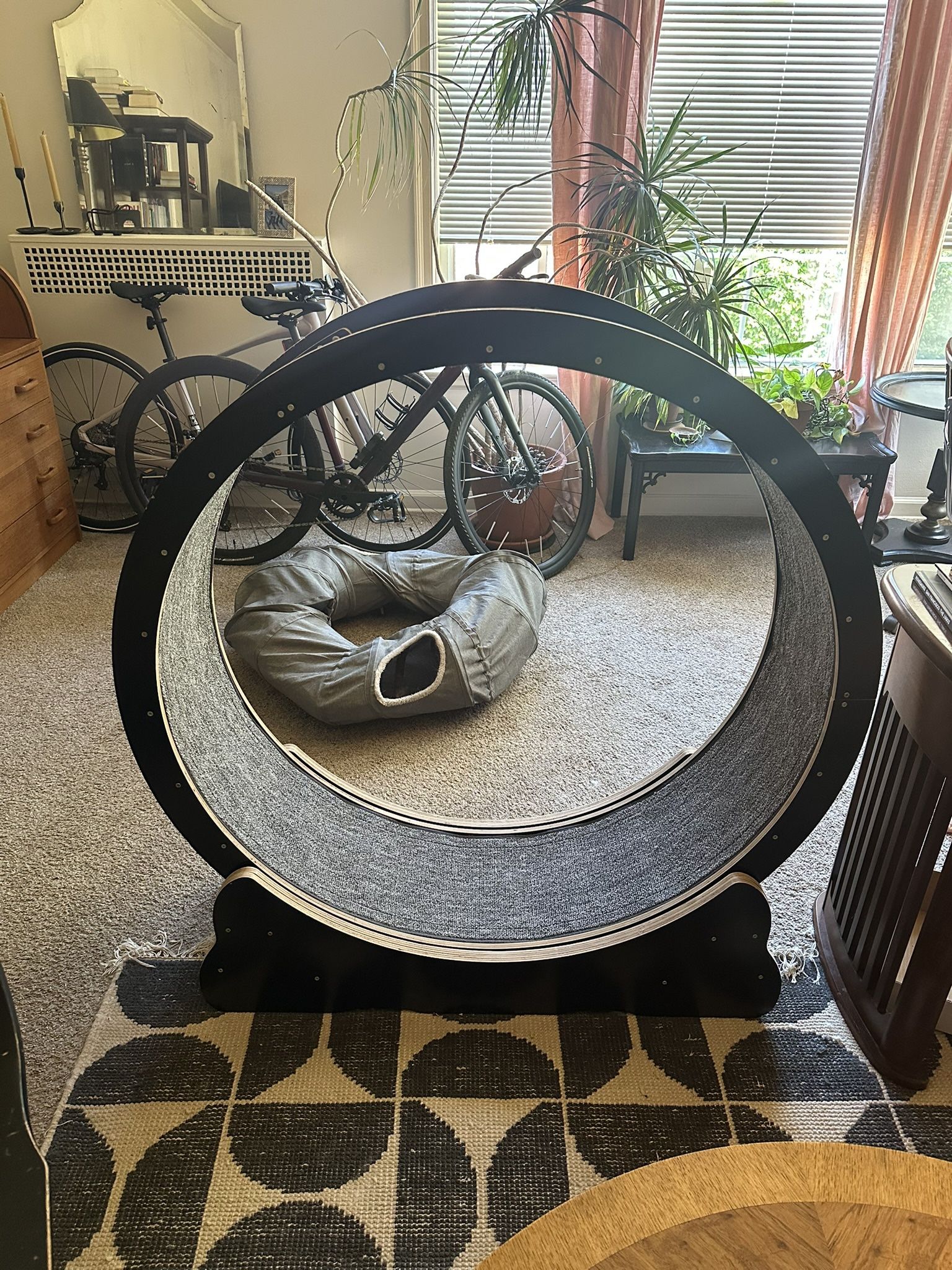Large Cat Running Wheel