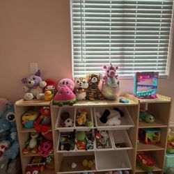 Toy Storage 