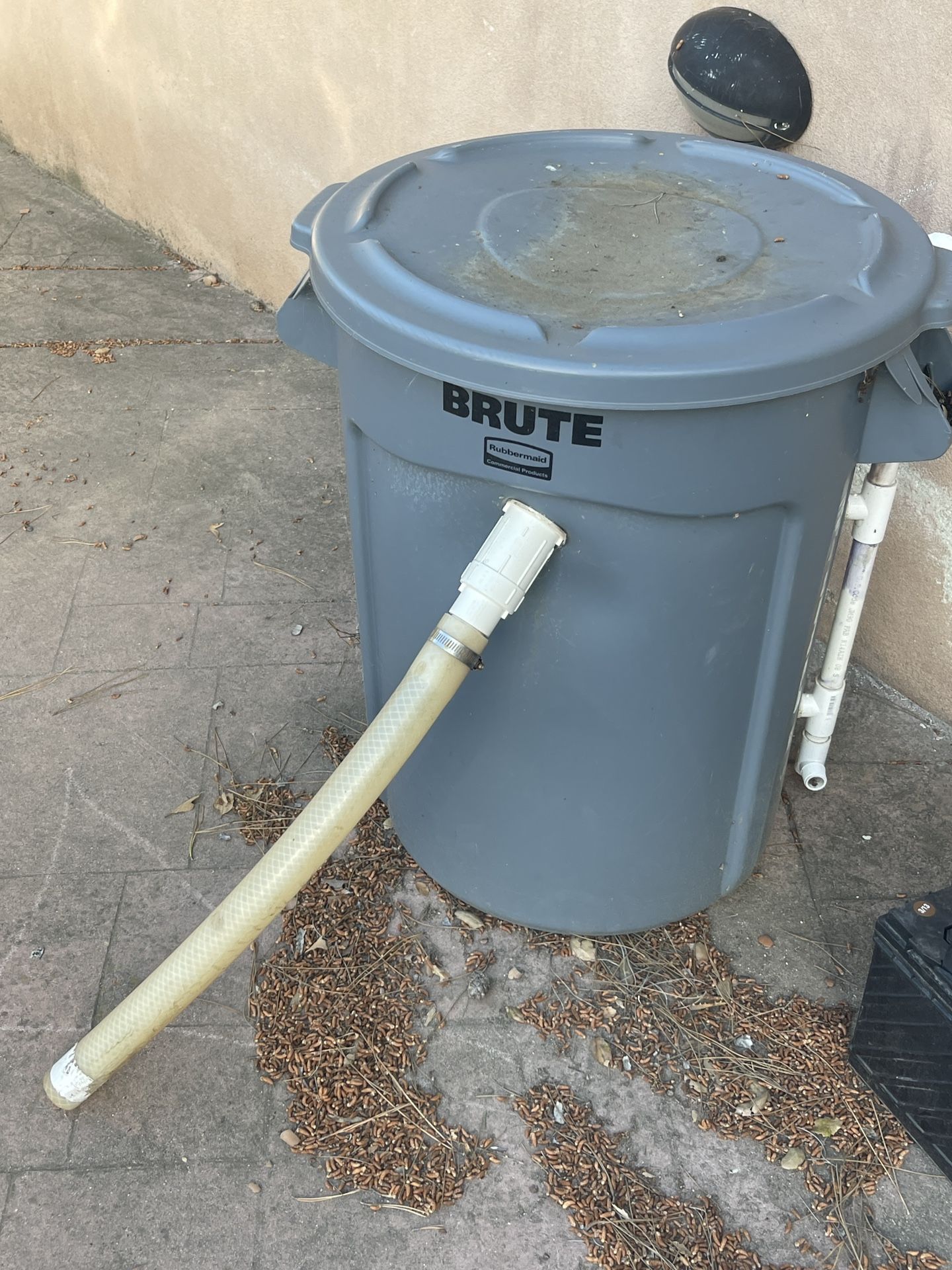 Bait Tank 55 Gallon With hook up for the motor