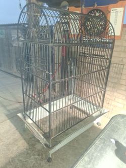 Bird cage 6ft