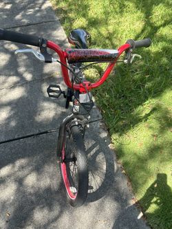 16’ Schwann Bike