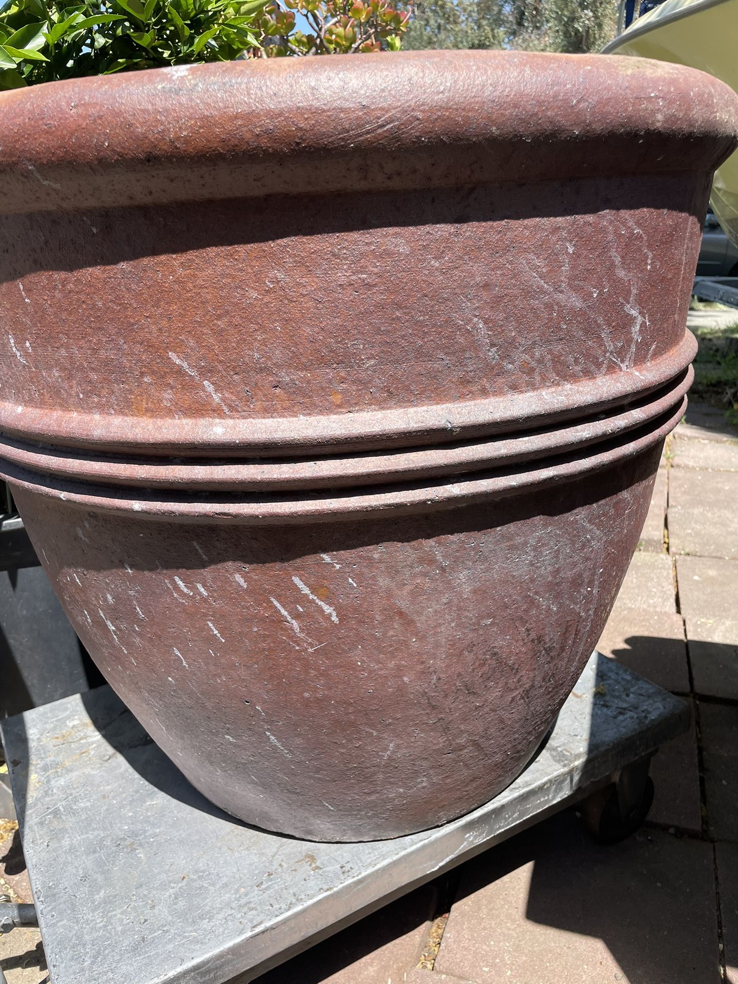 XL Pot Planter