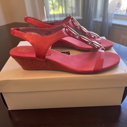 Shoe