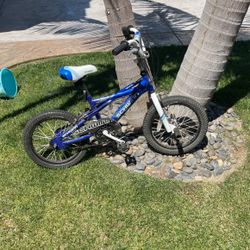 Schwinn Kids Mountain Bike 