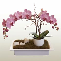 Harmonious Hinchel Flower Arrangement 