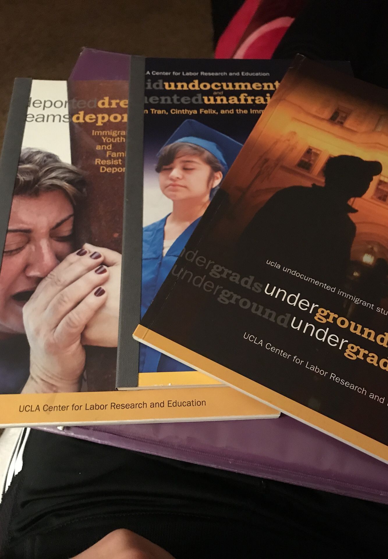 Immigration UCLA center for Labor Research and Education
