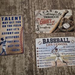 8 x 10 Metal baseball signs