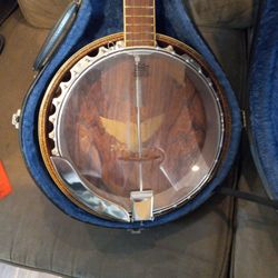 1970's sears roebuck resonator gold eagle