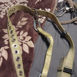 climbing belt