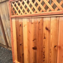 Walk Gate “Home Depot Style”