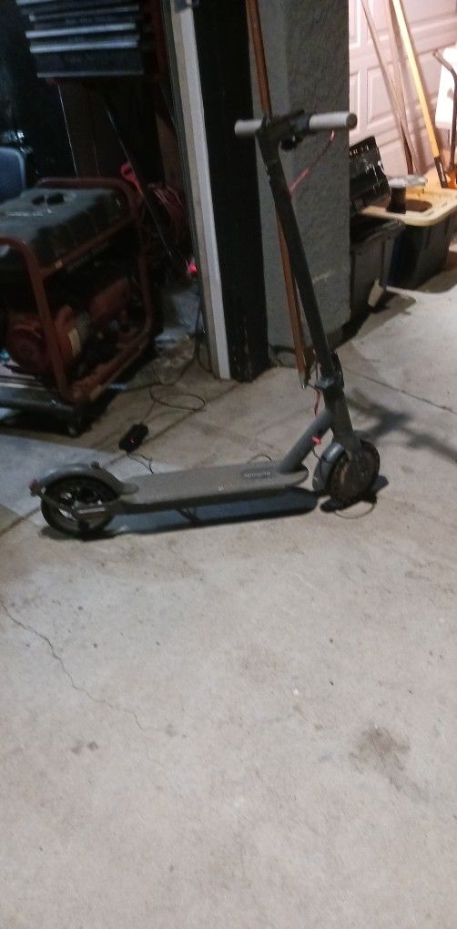 Electric Scooter