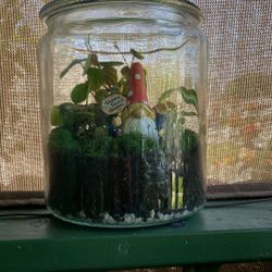 Mothers Day Gift Terrarium 