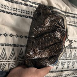 Snakeskin Purse 