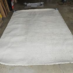 Luxury Cream Shag Rug Carpet 8x10