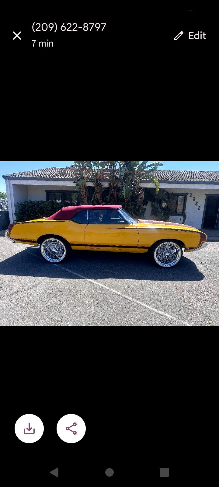Summer Toy