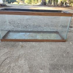 Aquarium/Terrarium 