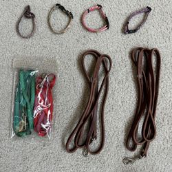 Dog Cat Leash & Collars 