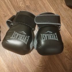 Everlast 16oz Boxing Gloves