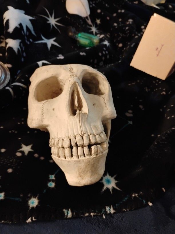 Skull Statue