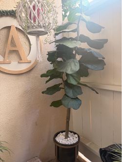 Fake plant
