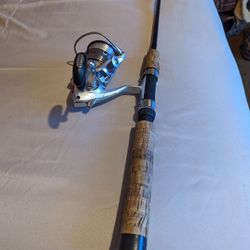Daiwa Bass/Striper Fishing Rod Combo 
