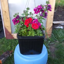 Mix flowers basket