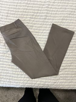 Express Columnist Pants Women’s
