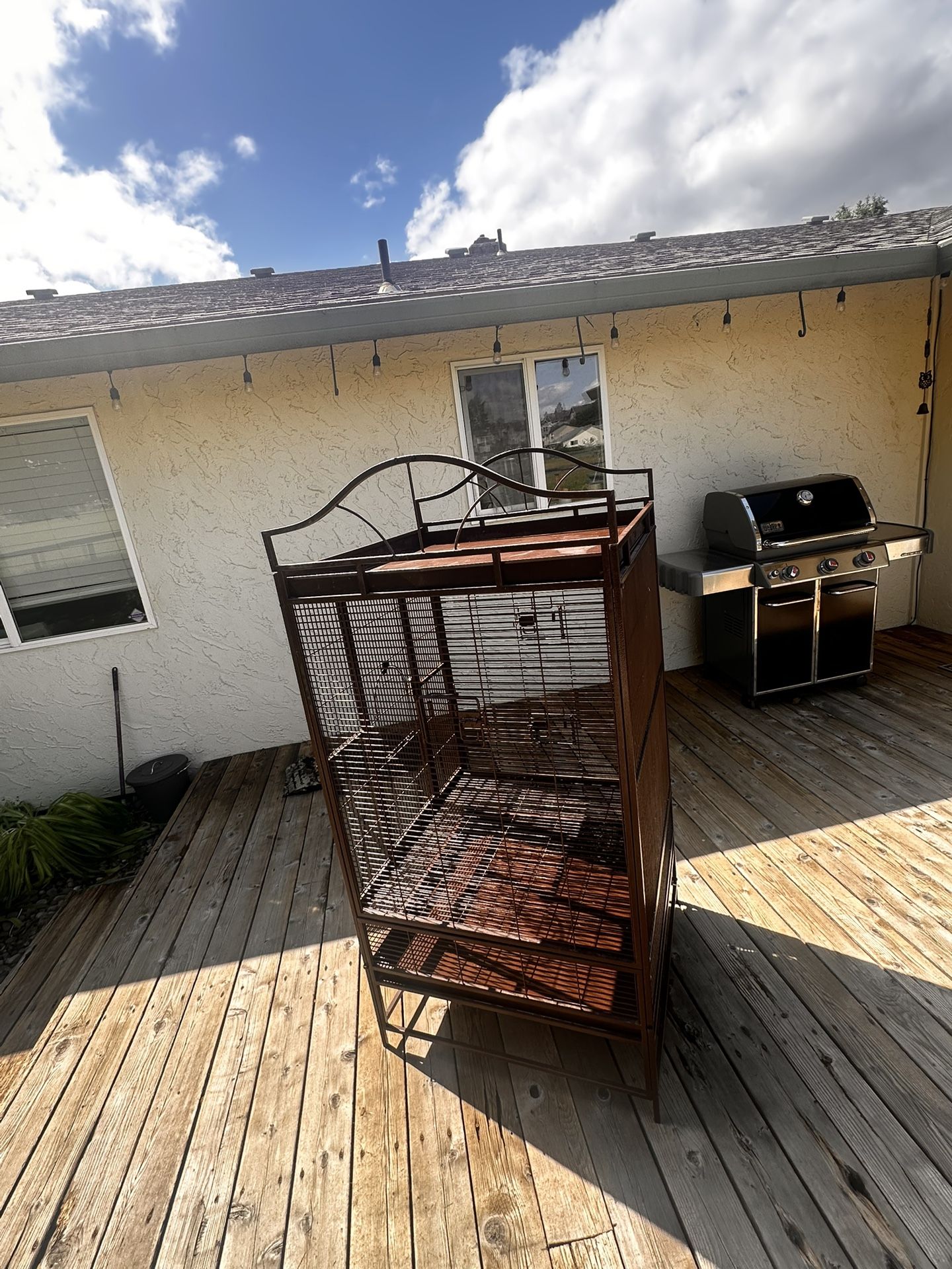 Huge Bird Cage