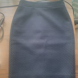 Women’s JCrew Skirt (size 2)