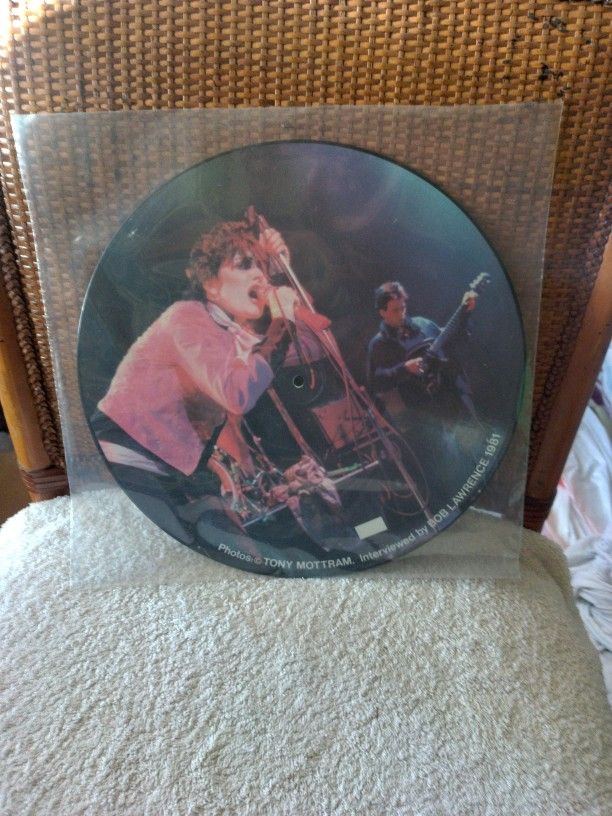 SIOUXSIE & The BANSHEES - Interview Disc. 12 in Vinyl Picture Disc