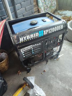 Duel fuel generator