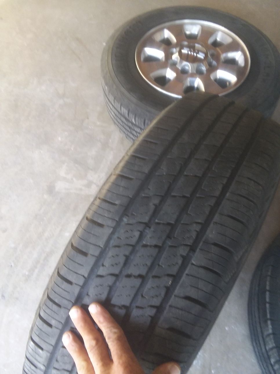 8 lug