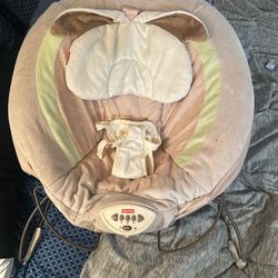 Baby Bouncer