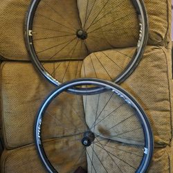 Giant Bicycle Wheeles