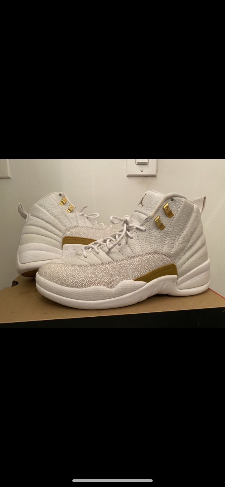 Air Jordan 12 OVO Drake 🦉