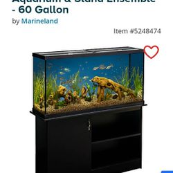 Used 60 Gallon Fish Tank W/Stand