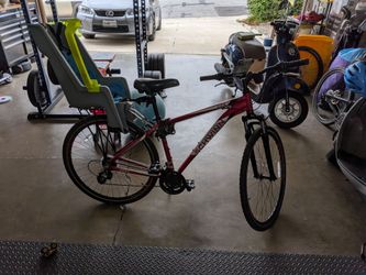 Schwinn adult bike with kid seat