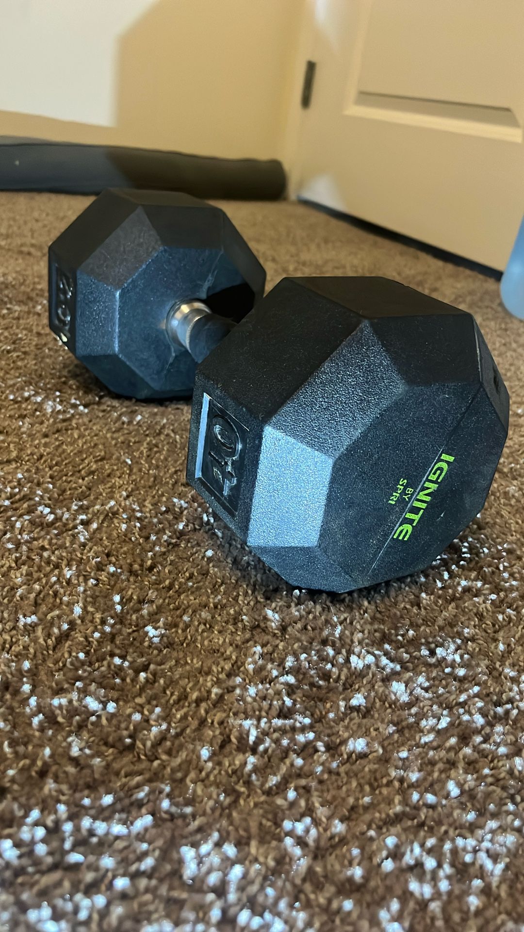 IGNITE 40lb Dumbbell