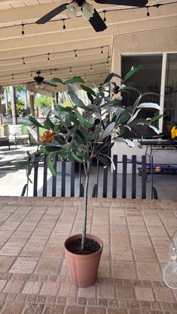 Artificial Olive Topiary Tree in Pot