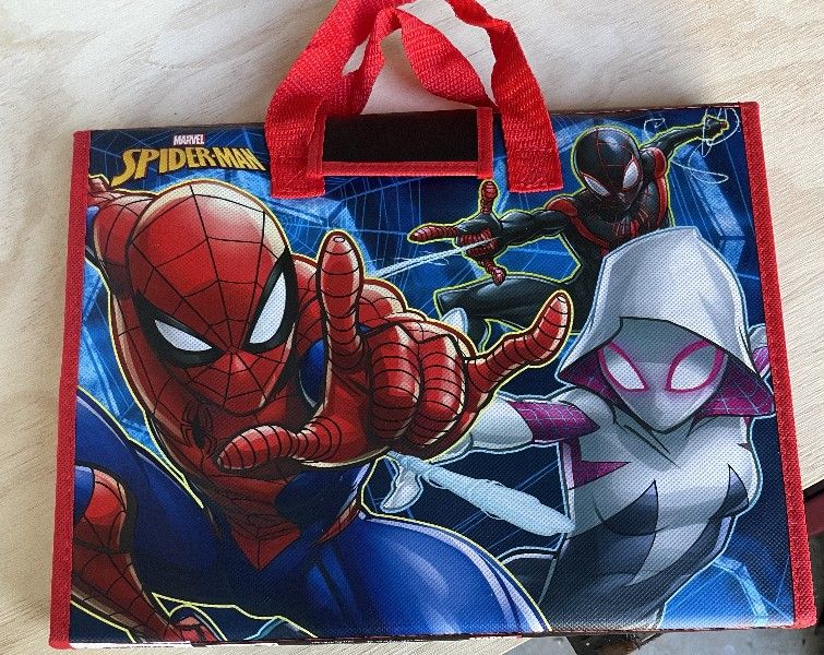 Marvel Spider-Man Activity Case