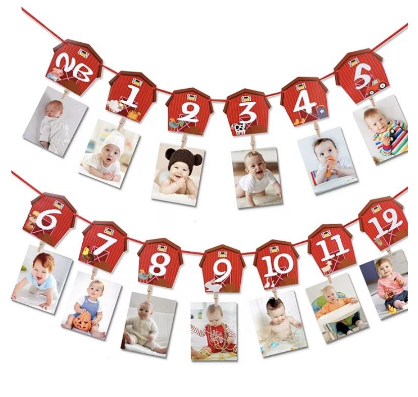 Farm Animal Theme Photo Banner 1st Birthday 