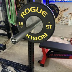 ROGUE BLACK TRAINING 15KG PLATES