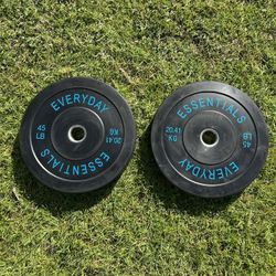 45lbs Olympic Bumper Plates