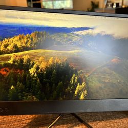 Portable/Travel Monitor